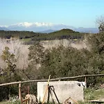 Borras Luxury Villa