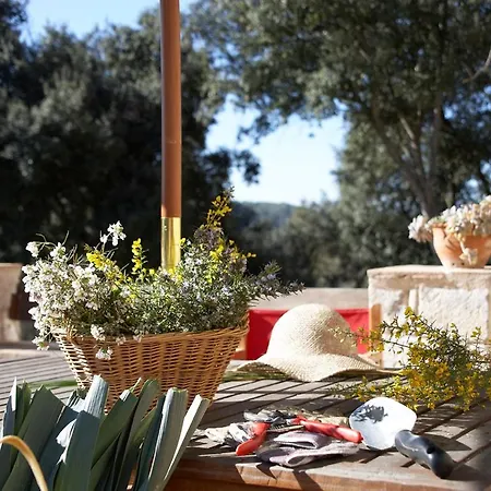 Borras Luxury Villa Navata